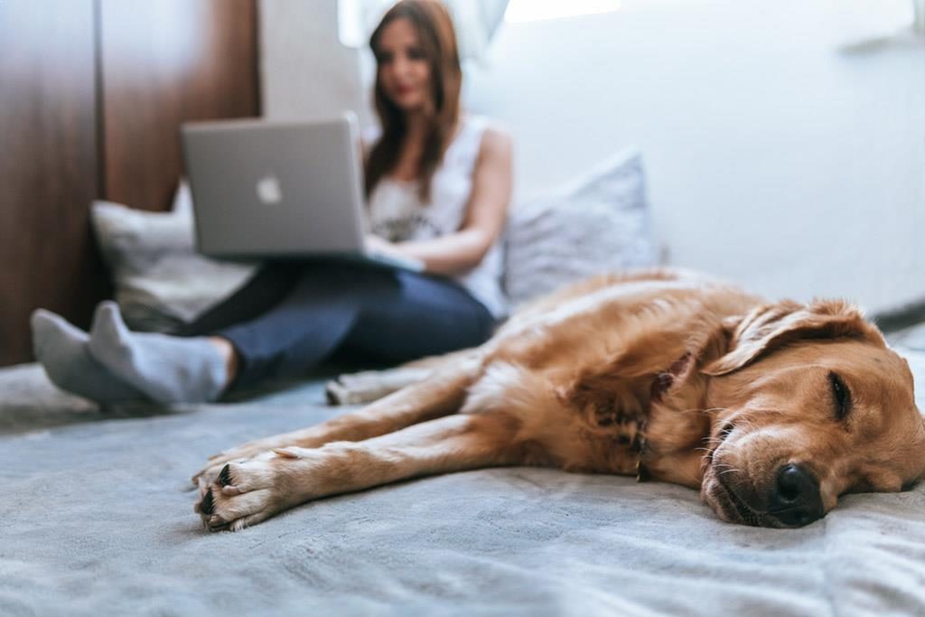 7 Ways to Purify the Air in Your Home