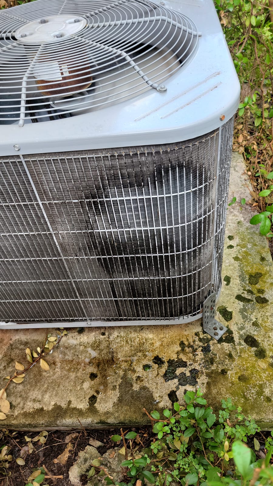 Outdoor air-conditioning condenser and coil at a service visit